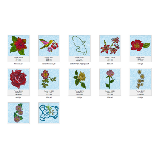 12 motifs à broder - 20 cm